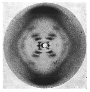Photo 51:  X-ray diffraction image of DNA
